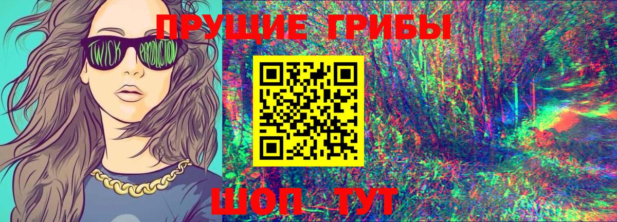 Партизанск  закладка  Вход с VPN  Псилоцибиновые грибы мицелий 